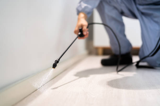 Licensed Pest Control service in Valdez, AK - Show Me Pest Control