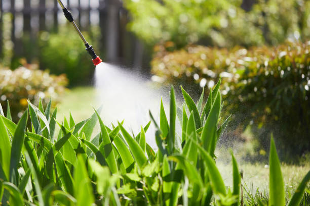 24/7 Emergency Wasp Removal experts in Valdez, AK